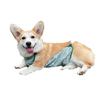 HKM-3769917 Lightweight Waterproof Summer Dog Raincoat with Cool Belly Protector in Green and Brown
