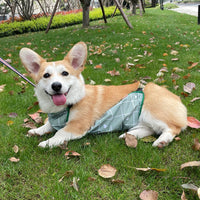 HKM-3769917 Lightweight Waterproof Summer Dog Raincoat with Cool Belly Protector in Green and Brown