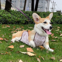 HKM-3769917 Lightweight Waterproof Summer Dog Raincoat with Cool Belly Protector in Green and Brown
