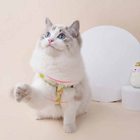 HKM-3773117 Adjustable Dog Collar and Leash Set - Fruit Print Design for Small to Medium Dogs