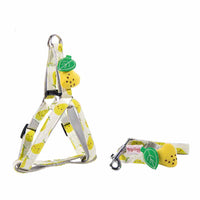 HKM-3773117 Adjustable Dog Collar and Leash Set - Fruit Print Design for Small to Medium Dogs