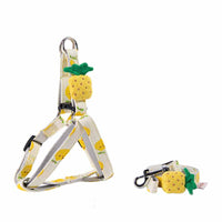 HKM-3773117 Adjustable Dog Collar and Leash Set - Fruit Print Design for Small to Medium Dogs