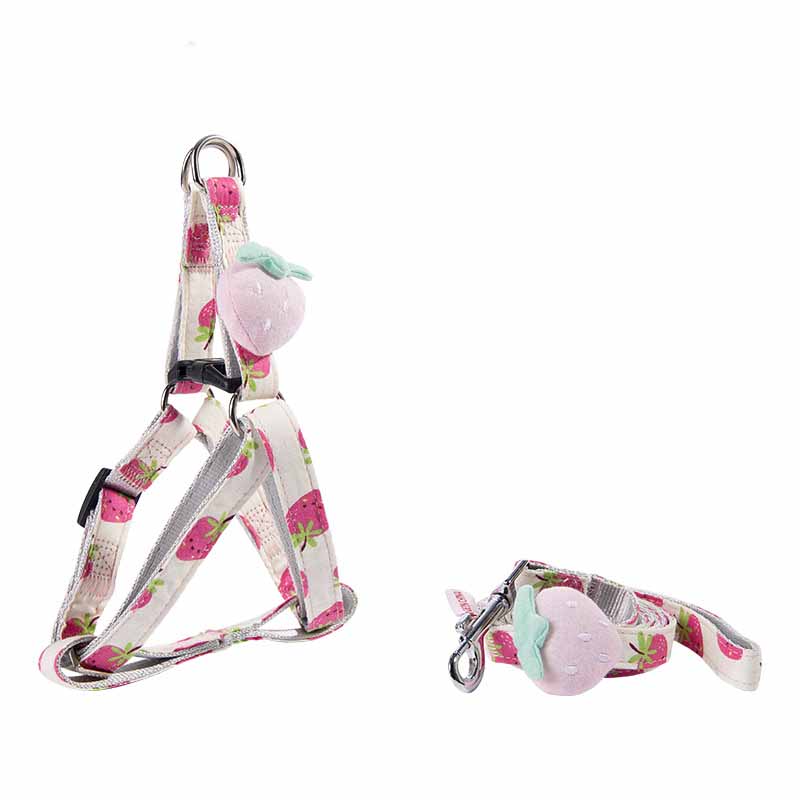 HKM-3773117 Adjustable Dog Collar and Leash Set - Fruit Print Design for Small to Medium Dogs