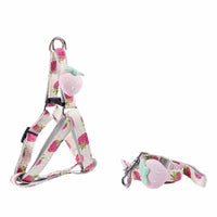 HKM-3773117 Adjustable Dog Collar and Leash Set - Fruit Print Design for Small to Medium Dogs