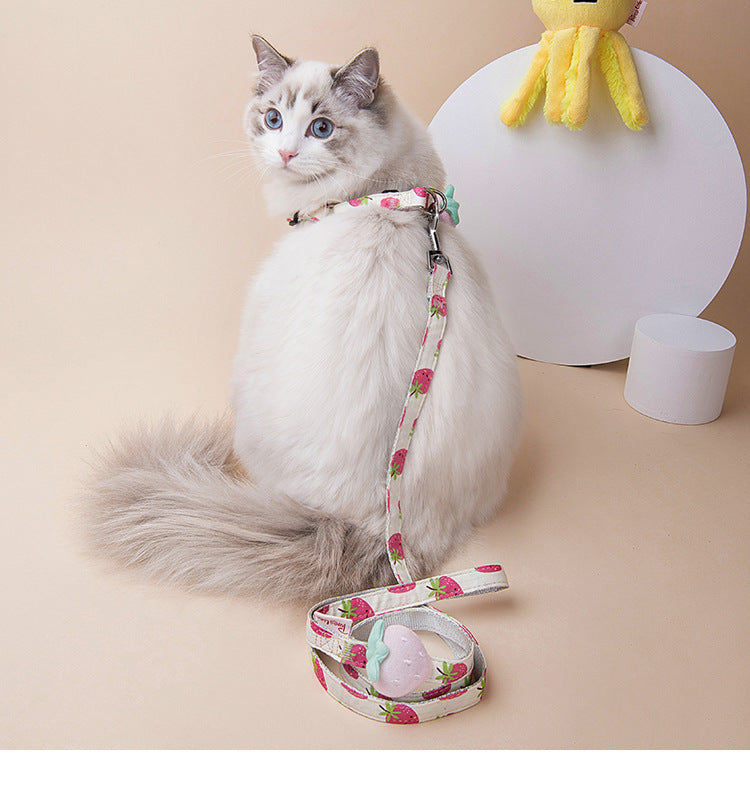 HKM-3773117 Adjustable Dog Collar and Leash Set - Fruit Print Design for Small to Medium Dogs