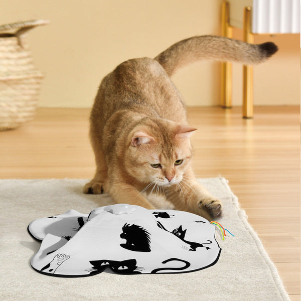 HKM-3774141 Interactive Cat Toy with Self-Hi Relief Teaser for Engaging Playtime
