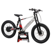 HKM-377619 20 Inch Fat Tire Electric Mountain Bike, 800W 1200W, 36V 48V, 3 Speed, Hydraulic Disc Brakes, Rear Suspension