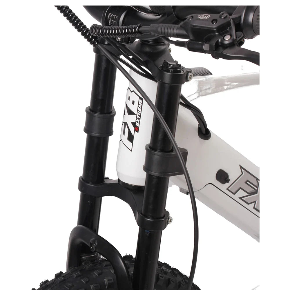 HKM-377619 20 Inch Fat Tire Electric Mountain Bike, 800W 1200W, 36V 48V, 3 Speed, Hydraulic Disc Brakes, Rear Suspension
