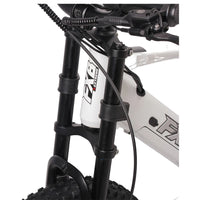 HKM-377619 20 Inch Fat Tire Electric Mountain Bike, 800W 1200W, 36V 48V, 3 Speed, Hydraulic Disc Brakes, Rear Suspension
