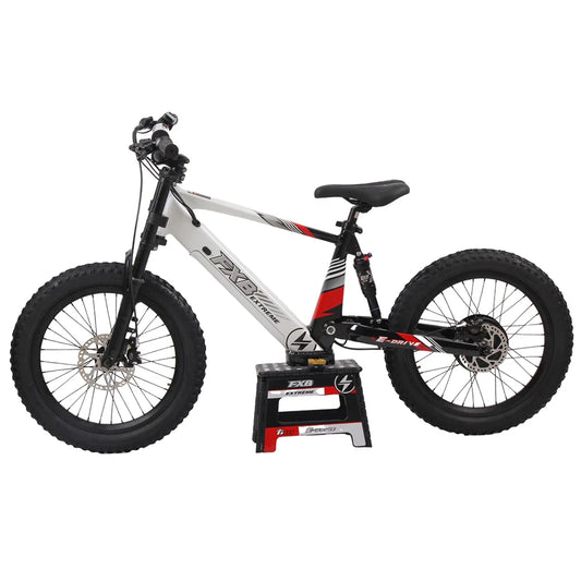 HKM-377619 20 Inch Fat Tire Electric Mountain Bike, 800W 1200W, 36V 48V, 3 Speed, Hydraulic Disc Brakes, Rear Suspension