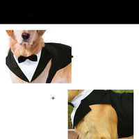 HKM-3777469 Casual Black Bow Tie Dog Suit with Skirt - Available in Multiple Sizes