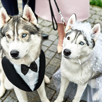 HKM-3777469 Casual Black Bow Tie Dog Suit with Skirt - Available in Multiple Sizes