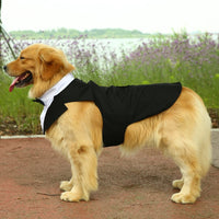 HKM-3777469 Casual Black Bow Tie Dog Suit with Skirt - Available in Multiple Sizes