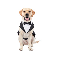HKM-3777469 Casual Black Bow Tie Dog Suit with Skirt - Available in Multiple Sizes
