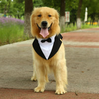 HKM-3777469 Casual Black Bow Tie Dog Suit with Skirt - Available in Multiple Sizes