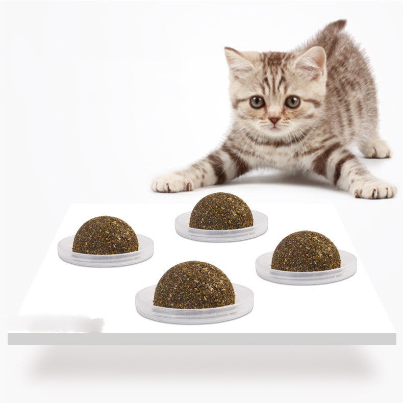 HKM-377811 The Cat Vigorously Licks The Pet Cat Grass Ball