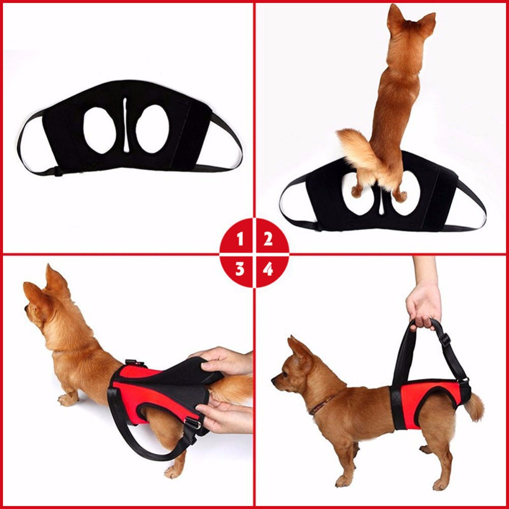 HKM-3778365 Single Shoulder Lifting Strap for Dogs and Large Pets ¨C Neoprene Support for Easy Mobility