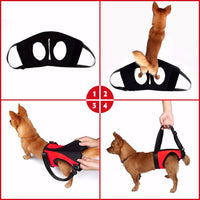 HKM-3778365 Single Shoulder Lifting Strap for Dogs and Large Pets ¨C Neoprene Support for Easy Mobility