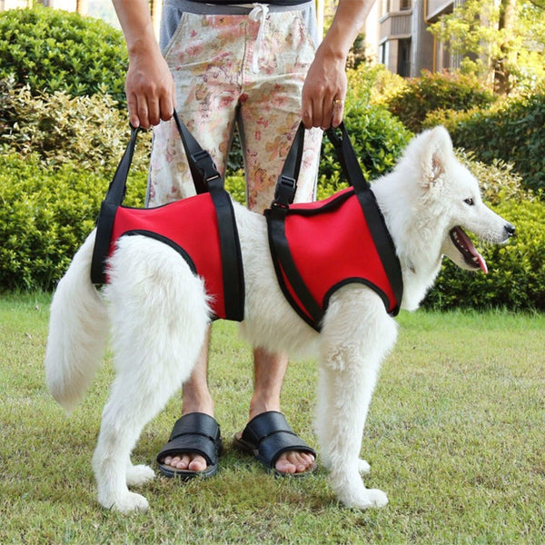 HKM-3778365 Single Shoulder Lifting Strap for Dogs and Large Pets ¨C Neoprene Support for Easy Mobility
