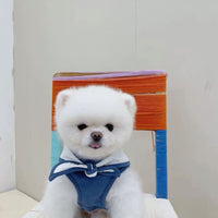 HKM-3779645 Sailor Style Spring and Autumn Dog Clothes in Blue, Pink, and Yellow