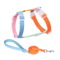HKM-3784125 Color-Coded Pet Leash and Anti-Breakaway Chest Strap for Dogs and Cats, Comfortable Nylon Design