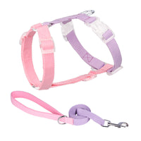 HKM-3784125 Color-Coded Pet Leash and Anti-Breakaway Chest Strap for Dogs and Cats, Comfortable Nylon Design