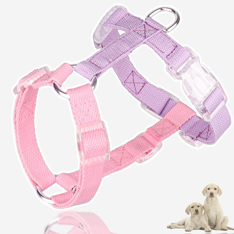 HKM-3784125 Color-Coded Pet Leash and Anti-Breakaway Chest Strap for Dogs and Cats, Comfortable Nylon Design