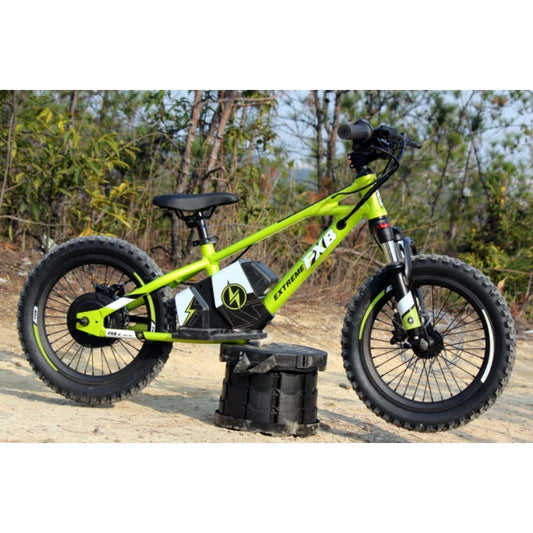 HKM-378771 Kids Motor Balance Bike 16" No Pedal Electric Bicycle with 2 Speed Options and Disc Brake