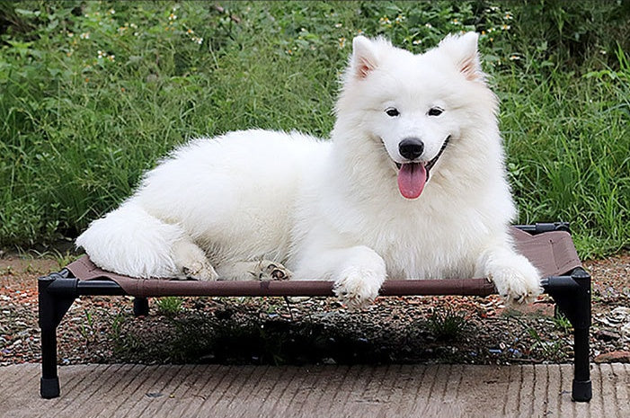 HKM-3789245 Moisture-Proof Removable Washable Oxford Cloth Pet Bed with Metal Frame