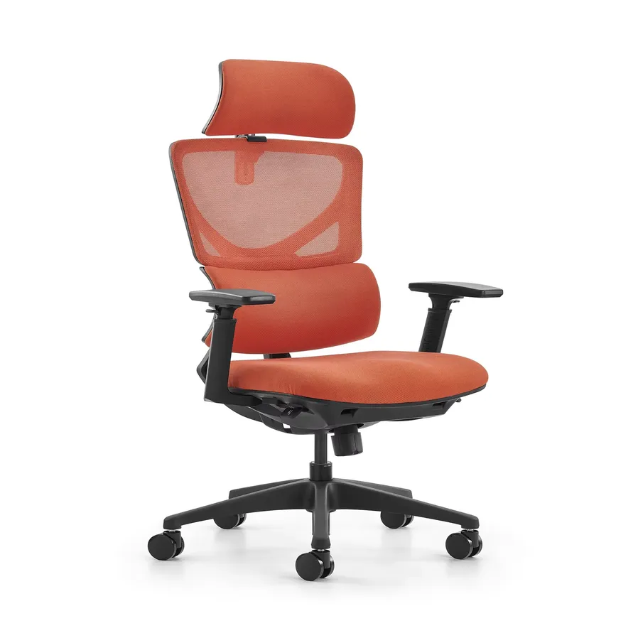 HKM-378963 High Back Ergonomic Executive Office Chair with Adjustable Headrest and Mesh Design