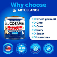 HKM-3796413 Glucosamine Chews for Dogs with Chondroitin and Hemp Oil for Joint Support, 120 Soft Treats