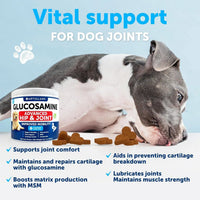 HKM-3796413 Glucosamine Chews for Dogs with Chondroitin and Hemp Oil for Joint Support, 120 Soft Treats