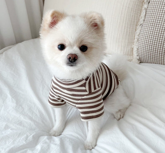 HKM-3796925 Lightweight Casual Dog Apparel in Coffee Bar Yellow - XS to XL Sizes Available