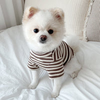 HKM-3796925 Lightweight Casual Dog Apparel in Coffee Bar Yellow - XS to XL Sizes Available
