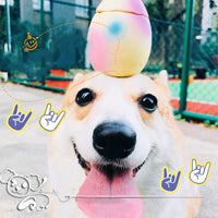 HKM-3797181 Latex Sounding Dog Toy Egg Model for Molar Cleaning and Boredom Relief