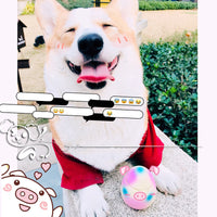 HKM-3797181 Latex Sounding Dog Toy Egg Model for Molar Cleaning and Boredom Relief