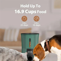 HKM-380115 4L Smart Automatic Pet Feeder with Dual Power, Voice Recorder, and Timed Dispensing for Small Animals