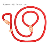 HKM-3803581 Automatic Tightening Dog Leash with P Rope Collar for Blast Race Level Training