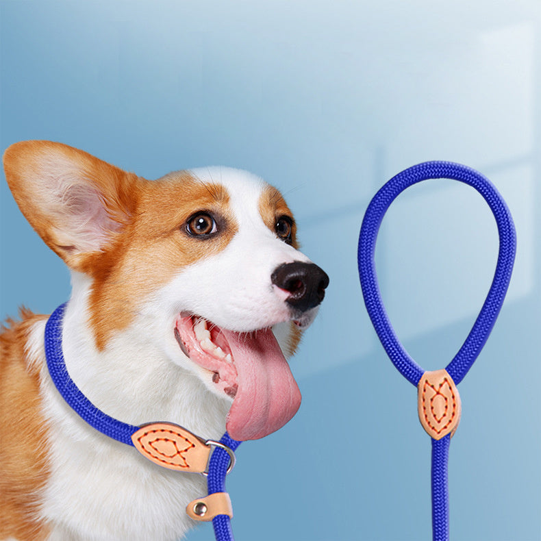 HKM-3803581 Automatic Tightening Dog Leash with P Rope Collar for Blast Race Level Training