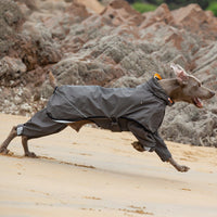 HKM-3803709 Waterproof Four-Legged Raincoat for Medium to Large Dogs in Dark Khaki and Dark Blue