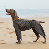 HKM-3803709 Waterproof Four-Legged Raincoat for Medium to Large Dogs in Dark Khaki and Dark Blue