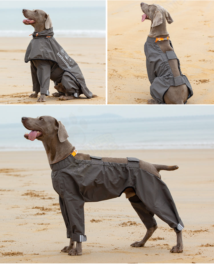 HKM-3803709 Waterproof Four-Legged Raincoat for Medium to Large Dogs in Dark Khaki and Dark Blue