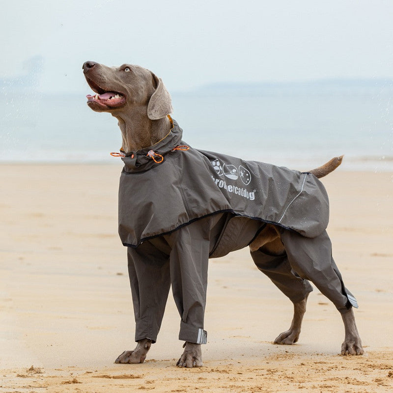 HKM-3803709 Waterproof Four-Legged Raincoat for Medium to Large Dogs in Dark Khaki and Dark Blue