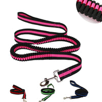 HKM-380371 Durable Nylon Pet Leash with Hand Holding Rope for Comfortable Outdoor Activities