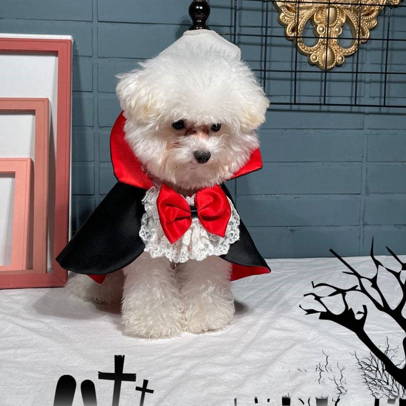 HKM-3804477 Red Vampire Cloak Windbreaker for Pets - XS to XL Size Options
