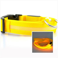 HKM-3805885 LED Illuminated Dog Collar for Day and Night Safety