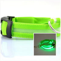 HKM-3805885 LED Illuminated Dog Collar for Day and Night Safety
