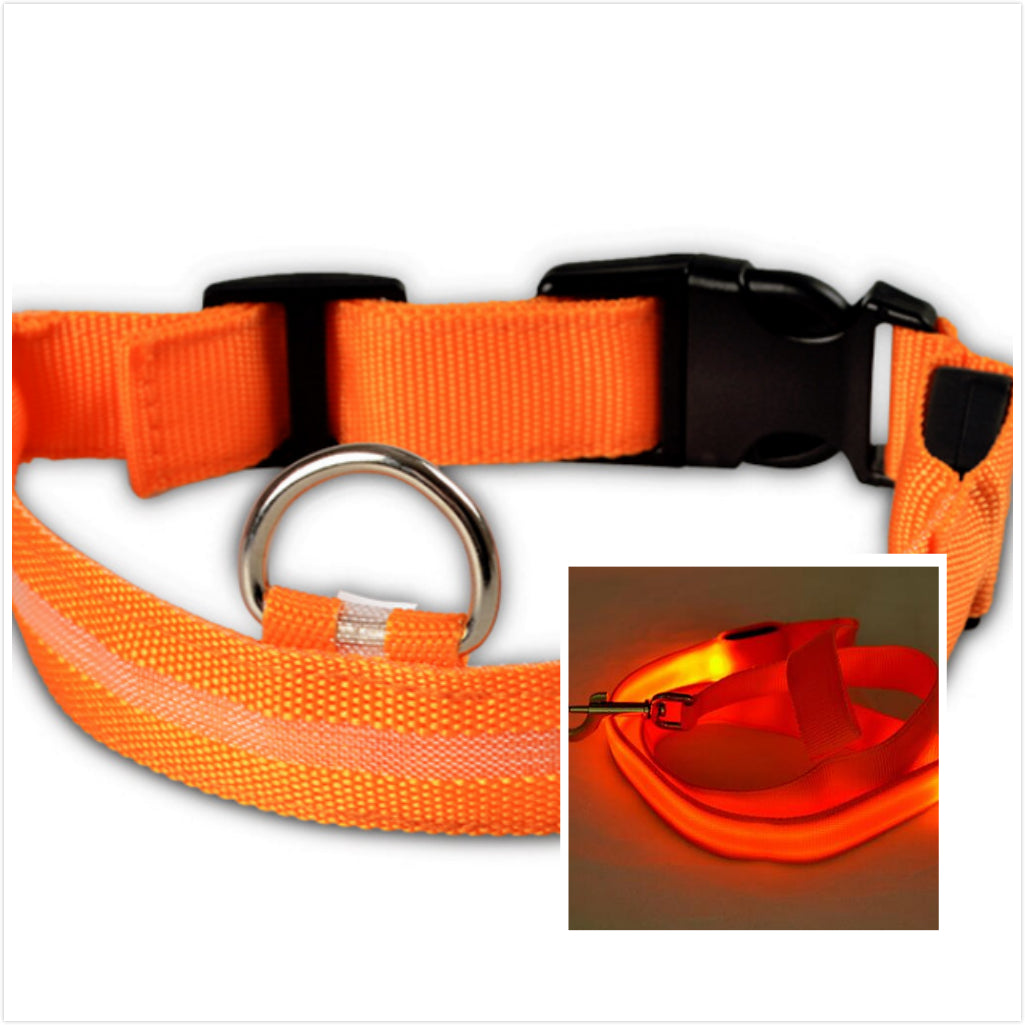 HKM-3805885 LED Illuminated Dog Collar for Day and Night Safety