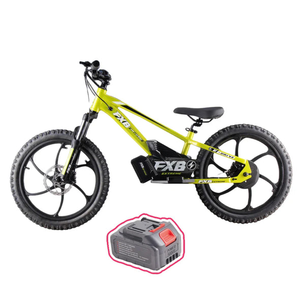 HKM-3450067 20-Inch Electric Balance Bike for Kids 8-15 Years with 400W Brushless Motor, 36V Battery and Hydraulic Disc Brakes