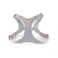 HKM-3811133 Stylish Leather Chest Strap Harness for Dogs in Various Colors and Sizes
